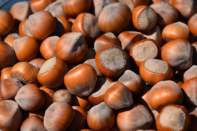 Hazelnut Flavoured Oil - 10mls  Hazelnut Flavoured Oil - 10mls